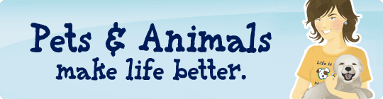 Pets & Animal Care